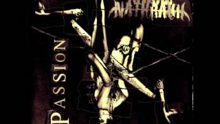 Anaal Nathrakh - Ashes Screaming Silence