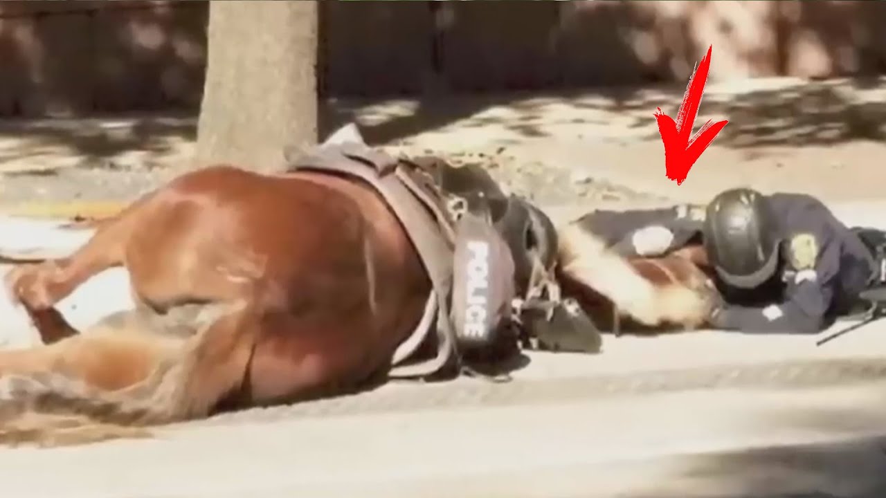 The policeman was lying next to the horse. The reason for the act will bring you to tears!