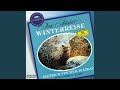 Schubert: Winterreise, D.911 - 18. Der stürmische Morgen