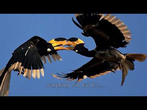 Naomi Bawi Chin Tial (kum 10) ; KAN PHILH KHO LO (love Song)