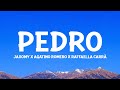 PEDRO - Jaxomy, Agatino Romero, Raffaella Carrà (Lyrics/Testo)