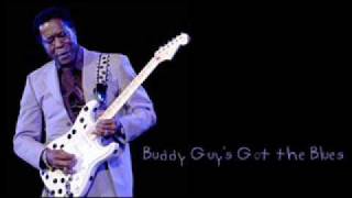 Buddy Guy-It's A Jungle Out There