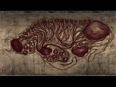 Pathologic - (Bachelor) Part 40