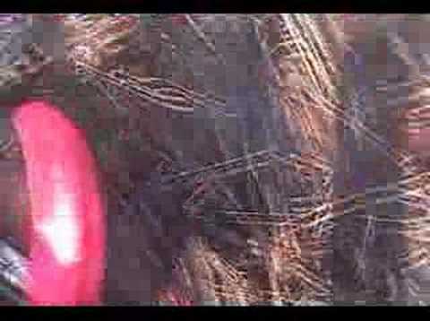 motoXschool.com dirt bike jump crash