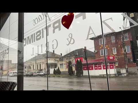 FULGI DE GÂSCĂ  peste BEIUȘ , Bihor  , 01 . 02 . 2022