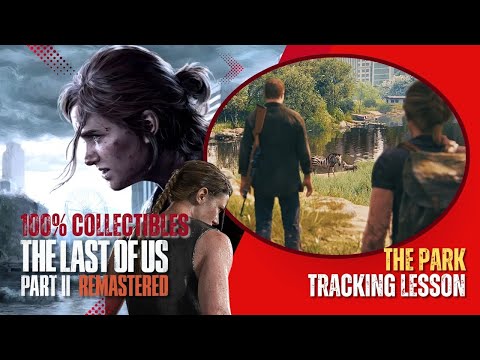 The Last of Us Part 2 Chapter 23 Tracking Lesson Walkthrough   All Artifacts