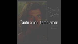 La culpa ha sido mía - Camilo Sesto (letra)