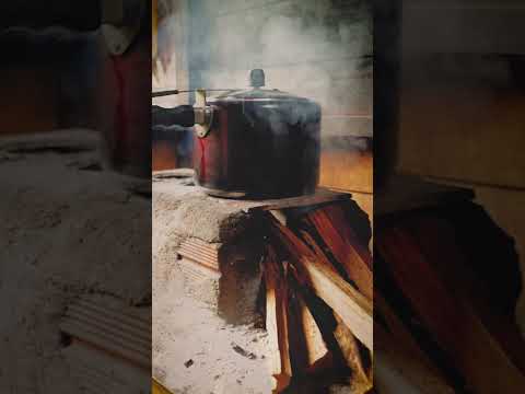 NATUREZA #acre #amazonia #naturezabrasileira #vidaribeirinha