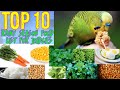 Top 10 Rainy Season Food For Budgies Love Birds Soft Food For Budgies In Rainy Season ️ ️ ️