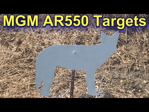 MGM AR550 Coyote Target Review