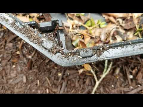 Rodent Bait Station Full of Ants in Wall Township, NJ