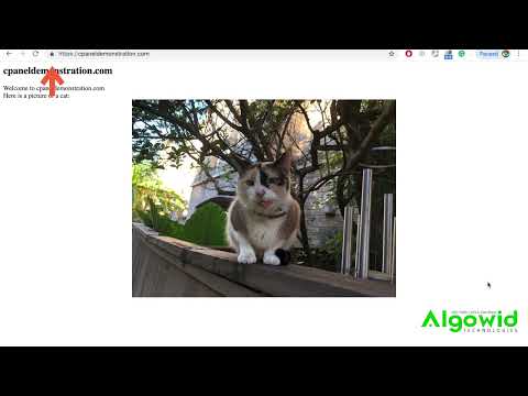 Cpanel Tutorials How To Use The Force Https Redirect Feature