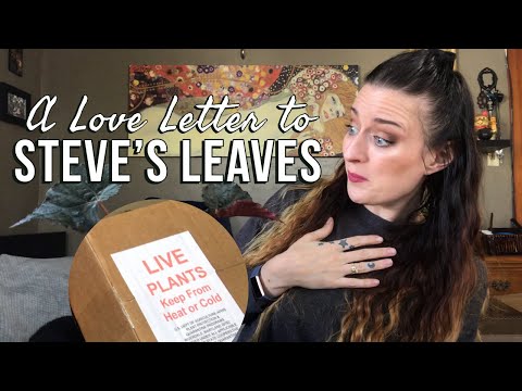 HOUSEPLANT UNBOXING 🌿 Goth Plant Haul from Steve’s Leaves