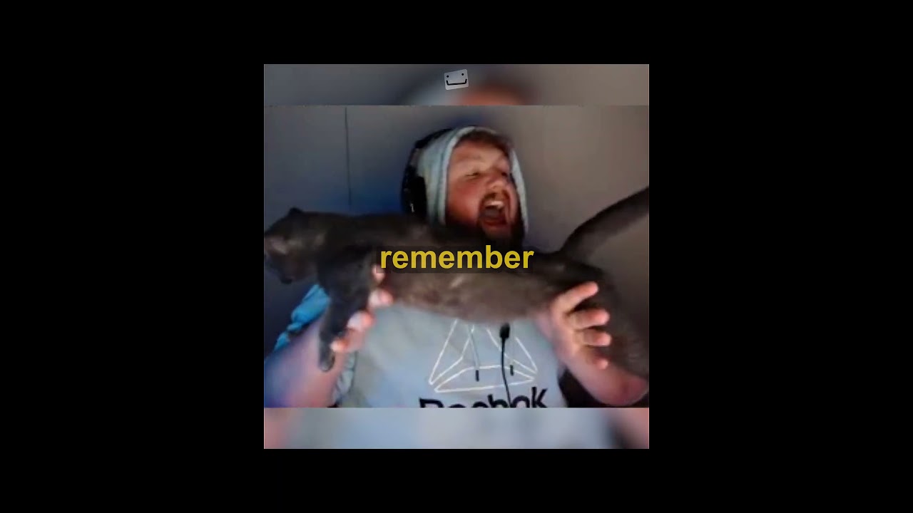 All Cats CaseOh Revealed On Stream 🐈‍⬛🥺