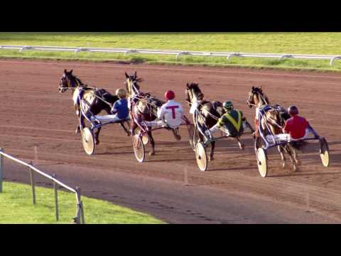 Avenches/01.07.2016/Critérium des 4 ans