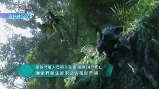 五區總辭 , 海地政府停止搜救 /新聞報導25-01-2010