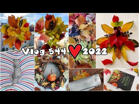 Vlog 544/22 - listí, věnec a kočka