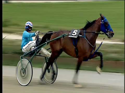 Trotto 23/02/2018 - 3ª corsa