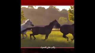 راكب عالحمراء الاصلية rakeb al hamra