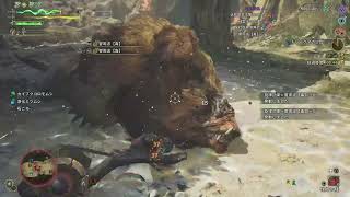 ドシャグマ ソロ 1分26秒67 狩猟笛 チャレンジクエスト【MHWilds】