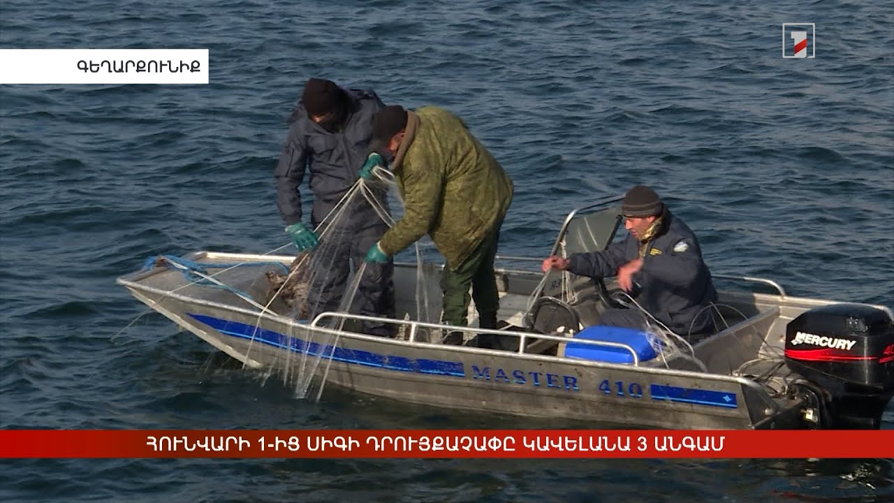 Նոյեմբերի 20-ից փետրվարի 1-ը Սևանա լճում կարգելվի սիգի արդյունագործական որսը