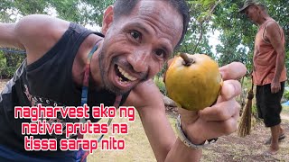 May nakita ako na prutas habang nagwawalis ang tatay ko