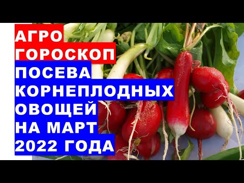 , title : 'Агрогороскоп посева семян корнеплодных овощей на март 2022 года'