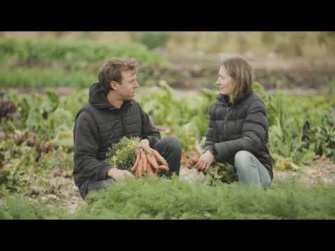 Farm Tours at Mussett Holdings Regenerative Farm