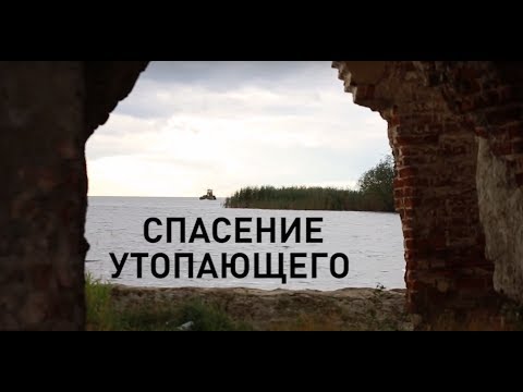 Волонтерское движение Вологодской области: фонд "Крохино"