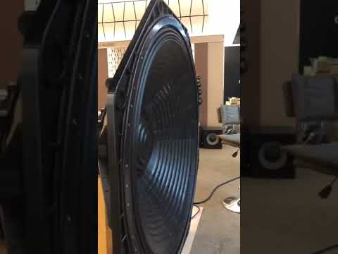 a supper huge speaker,  what is it used for？  #shorts