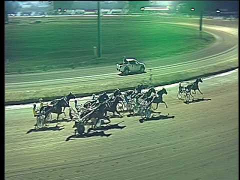 Trotto 05/08/2017 - 4ª corsa