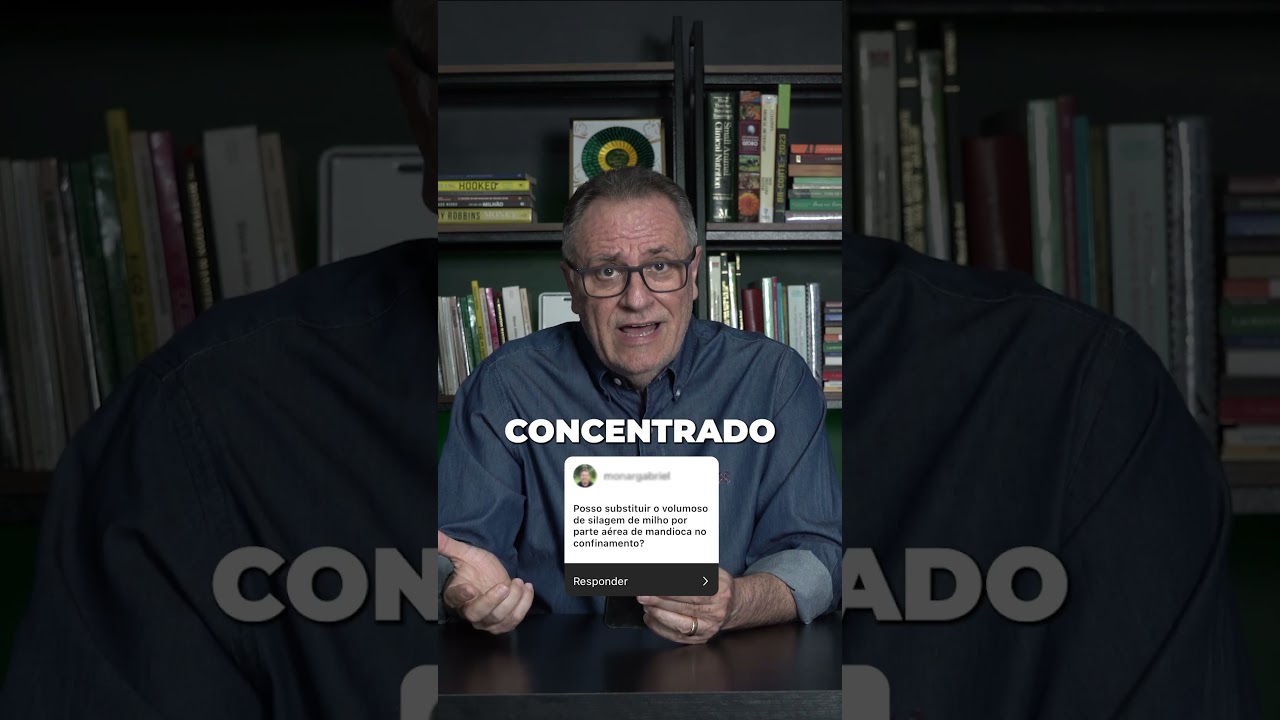 Substituição de silagem de milho pela parte aérea da mandioca em confinamento 🌽