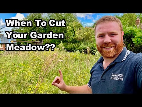 When To Cut & HOW To Manage The WILDFLOWER MEADOW In YOUR GARDEN