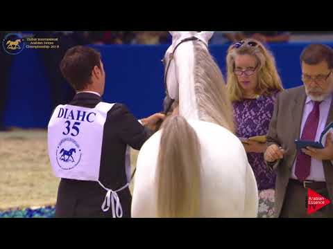 35 LR ERA DE EXCALIBUR Dubai 2018