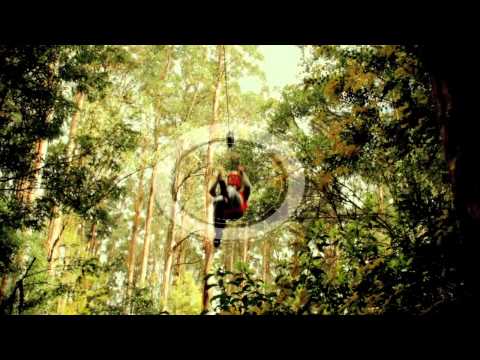 Otway Fly Treetop Adventures