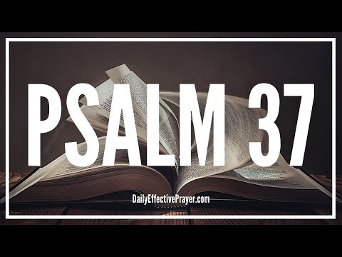 Waiting For God | Psalm 37 (Audio Bible Psalms) Video