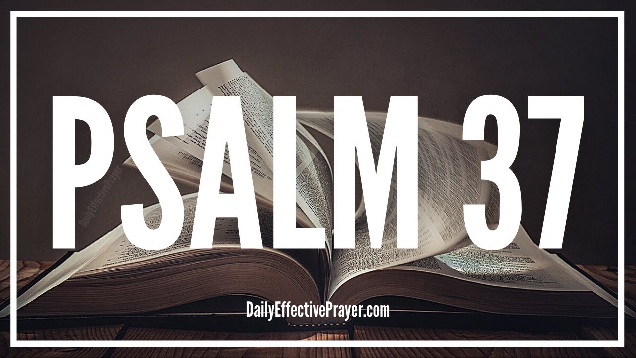 Waiting For God | Psalm 37 (Audio Bible Psalms)
