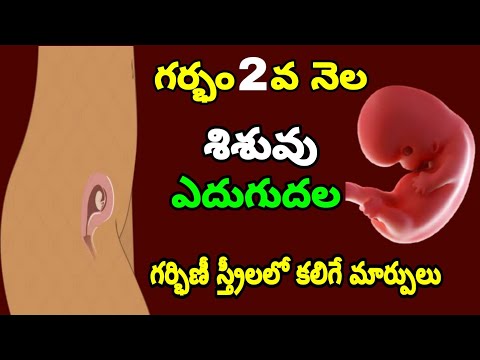 2nd Month of Pregnancy Baby Growth & Mother Care | Pregnancy 2nd Month Symptoms | 1st Trimester