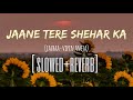 Jaane Tere Shehar ka | slow+reverb | Jazbaa | Arko ft. Vipin Aneja | Irfan Khan&Aishwarya Rai | lofi