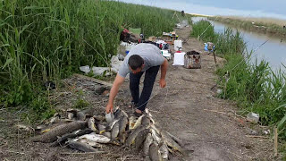 Рыбалка в кизлярского района дагестана
