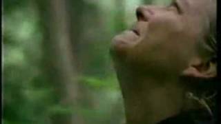 Hippies - Crying Over Dead Trees