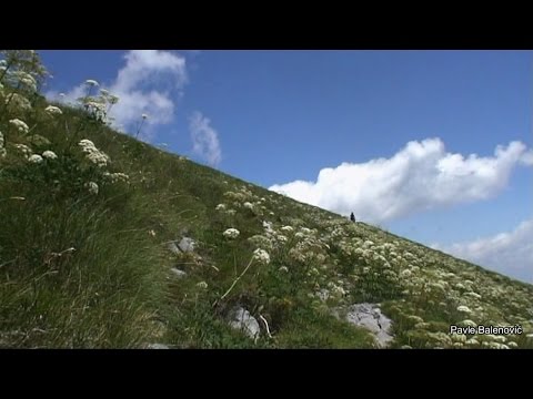 Šatorina, Oštarije | Srednji Velebit
