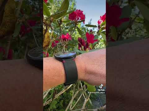 Schönste Einzeigeruhr #watches #shorts #fyp