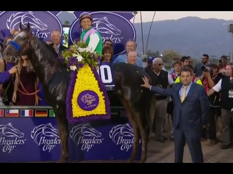 "Breeder's Cup Classic 2016" + Presentación - 05-11-2016 - Santa Anita Park - "Arrogate"