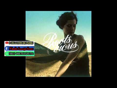 MELO DE IGA PEDRA 2K11 SEM VINHETA ( ROOTS CIRCUS - ALL WE NEED ) [ REGGAE RECORDAÇÃO ]