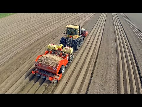download lagu mp3 mp4 Challenger Potatoes, download lagu Challenger Potatoes gratis, unduh video klip Challenger Potatoes
