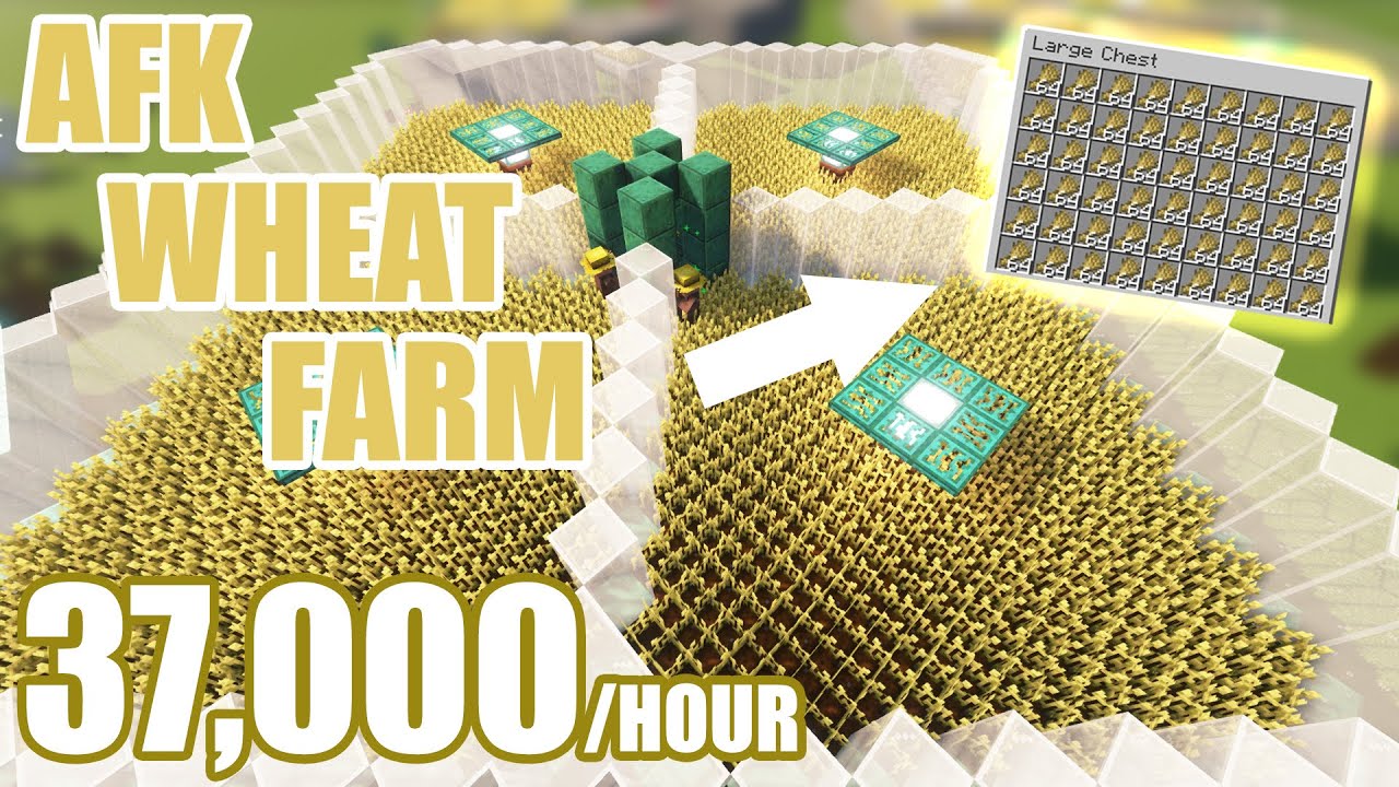 Efficient Auto Wheat Farm Minecraft 1.18 (Wheat, Carrot, Potato, Beetroot ALL WORK) | Tutorial