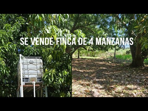 Se venden 4 manzanas en santiago nonualco departamento de la paz a 13 minutos del aeropuerto 