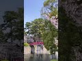Okazaki Castle Sakura Spring Beautyofjapan Peaceful Nature Fyp