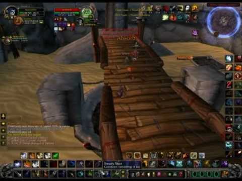 MM Hunter & Elem Shaman